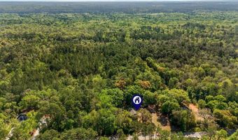 5311 Old River Rd, Baker, FL 32531