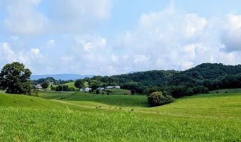 1385 Betsy Ross Rd, Afton, TN 37616