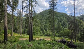 480 Dunn Peak Rd, Avery, ID 83802