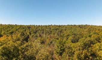 County Road 204, Alton, MO 65606