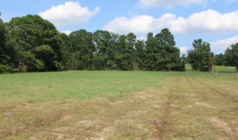 TBD CR 314, Henderson, TX 75652