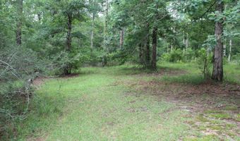 429 River Road Dr, Bogue Chitto, MS 39629