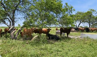 3124 County Road 220, Alice, TX 78332