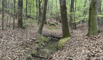 Ridge Road lot E, Appling, GA 30802