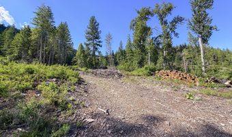 2008 SUMMIT VALLEY Rd Lot F, Addy, WA 99101