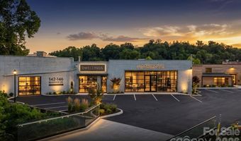 9 Reed St, Asheville, NC 28803