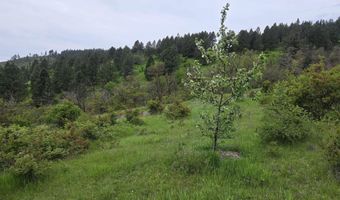 1521 Summitview Dr, Ahsahka, ID 83520