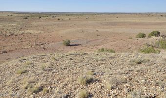 986 Concho Hwy, Concho, AZ 85924