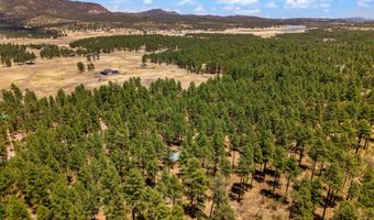 70 County Road 2266, Alpine, AZ 85920