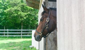 3151 Benchmark Trl, Amelia, VA 23002