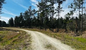 5-6 Laird Lane FM 357, Apple Springs, TX 75926