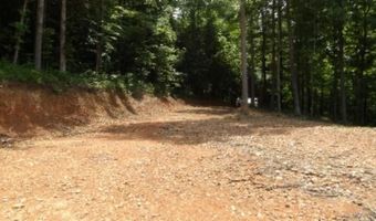 8 63ac Gravely Hill Rd, Bethpage, TN 37022