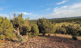 9 County Road 3036, Concho, AZ 85924