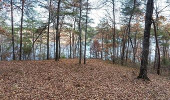 LONGVIEW LANDING LANE, Arley, AL 35541