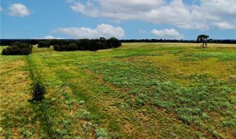 Tbd Tract 5 Fm-2819, Anderson, TX 77830