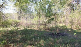 0 Breland Rd S, Bogalusa, LA 70427