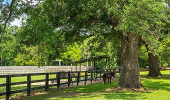 1792 Appleton Rd, Allendale, SC 29810