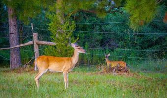 1031 Angel Lake Estates Rd, Alleyton, TX 78935