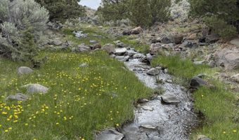 Wall Canyon Reservoir Road, Gerlach, NV 89412