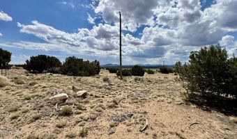 17 County Road N8034, Concho, AZ 85924