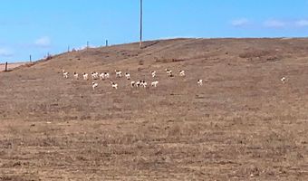County Road 55, Ault, CO 80610