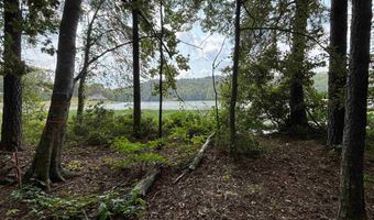 0 GIBSON COVE Dr 7.10 Acres Plus . 58 ac Access Lot, Ashville, AL 35953