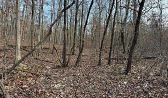 Arnhart Street, Ash Flat, AR 72513