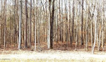 590 247 Country Rd, Bruce, MS 38915