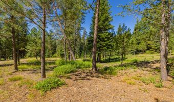 151 Timber Haven Pl, Cascade, ID 83638