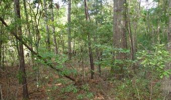 6 Parkers Ferry Rd, Adams Run, SC 29426