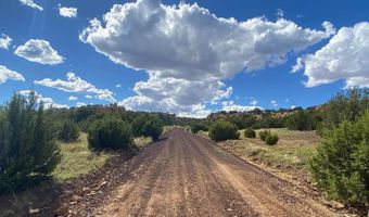 9 County Road 3036, Concho, AZ 85924