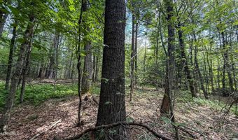 Jacobs Ladder Rd lot 9, Becket, MA 01223