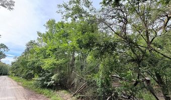 000 73rd Way, Bell, FL 32619