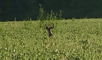 Bolivar Road, Benoit, MS 38725