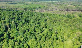 Sandy Branch Road, Bardwell, KY 42023