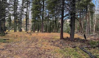 Vermejo Cir lot 15, Angel Fire, NM 87710
