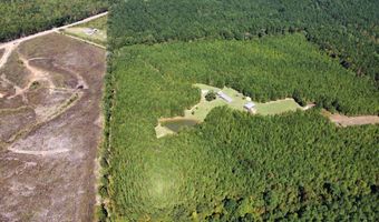 Lot 1 Highway 790, Ackerman, MS 39735