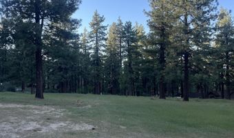 4300 Meadow Wood Rd, Carson City, NV 89703
