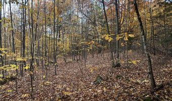 54 Onset Rd, Bennington, NH 03442