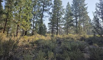 Cathy Way lot 21-23, Beatty, OR 97621
