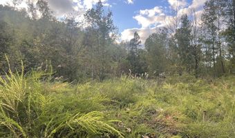 9999 Hooker Branch Rd, Barbourville, KY 40906