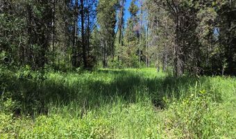 4585 E 1400 N, Ashton, ID 83420