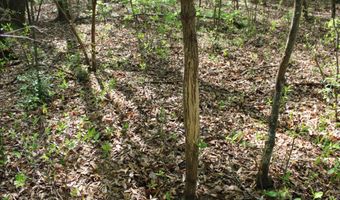 Ruffner Road 00, Barnesville, GA 30204