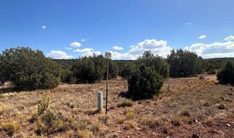 343 344 CR 8295, Concho, AZ 85924