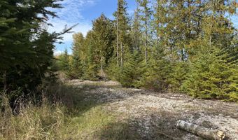9415 Wreck Rd, Alpena, MI 49707