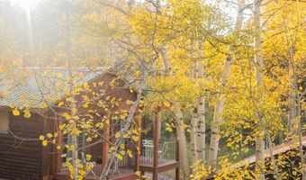 1087 Highway 7 Bus Rte, Allenspark, CO 80510