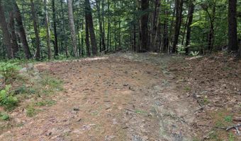 47 Green Acres Dr, Bristol, NH 03222