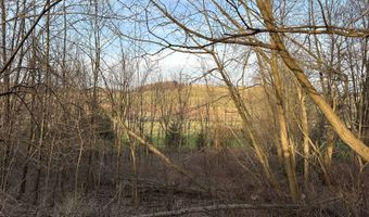Lot 4 Mud Run Rd, Addison, NY 14801
