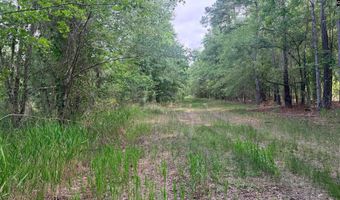 Goldenrod Drive, Barnwell, SC 29812