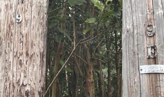 RAILRD RD, Keaau, HI 96749
